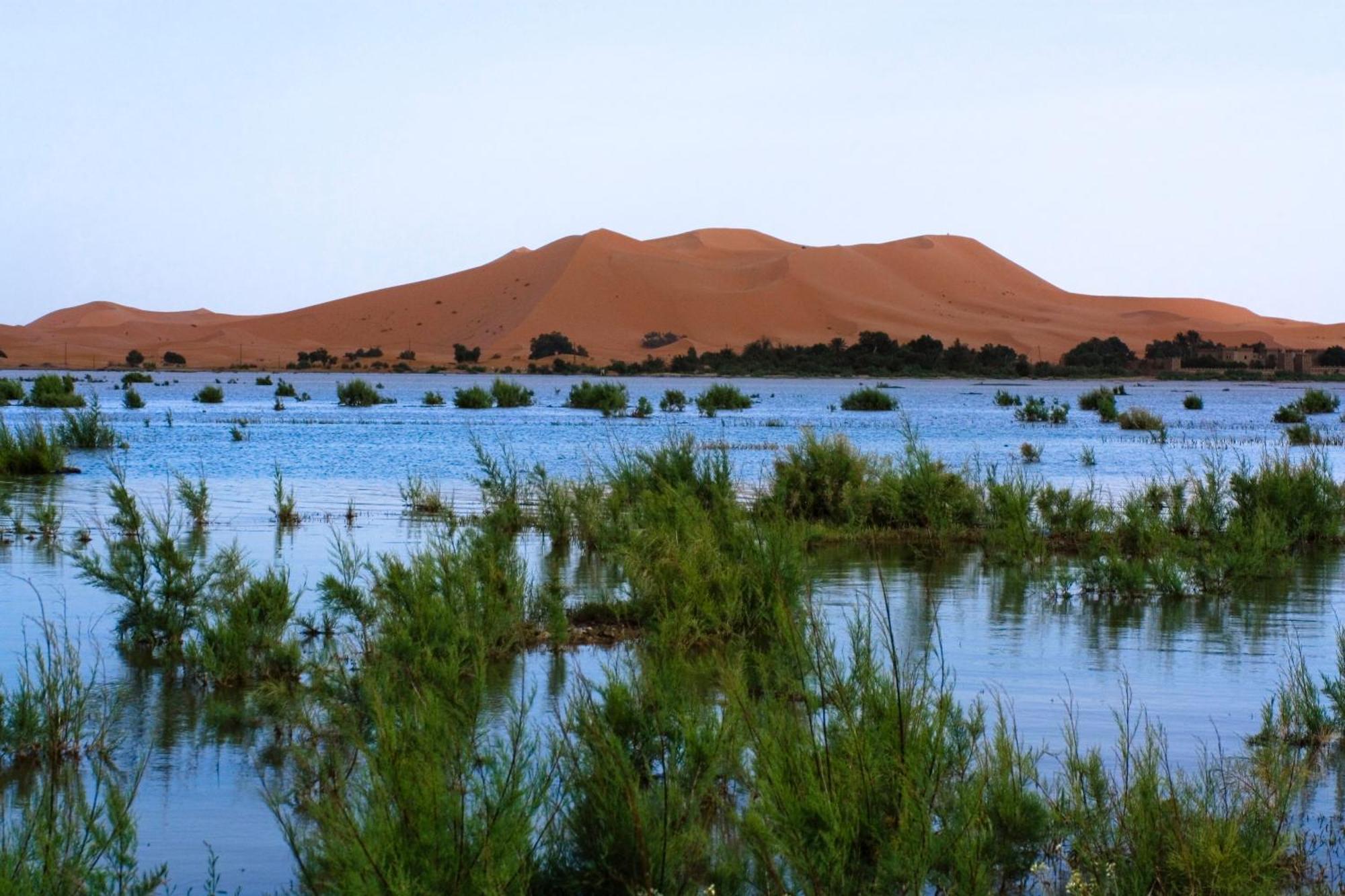 Auberge De Charme Les Dunes D'Or Merzouga Exterior foto